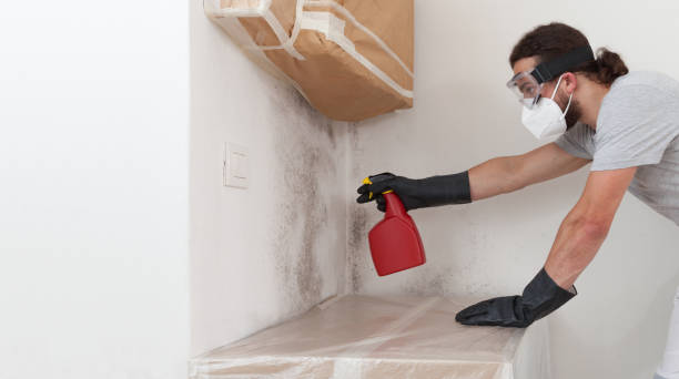Professional Mold Remediation technician working in Hendersonville, NC