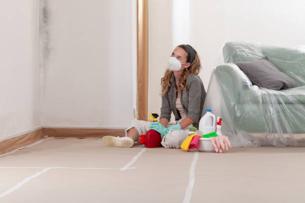 Reliable Mold Remediation contractor in Hendersonville, NC by Car Mold Remediation