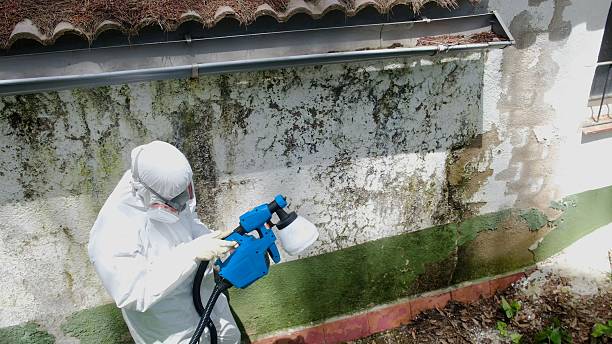 Top rated local Mold Remediation specialists in Hendersonville, NC